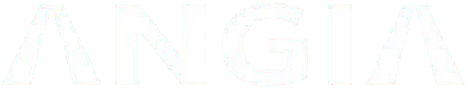 Tập Đoàn BĐS An Gia Investment